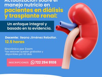 Actualización sobre el manejo nutricio en pacientes en diálisis y trasplante renal: Un enfoque integral y basado en la evidencia.