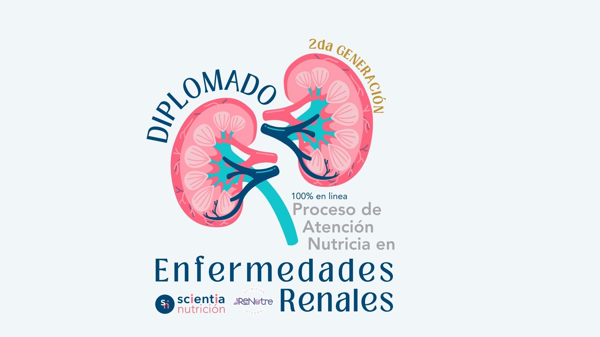 Diplomado: Proceso de Atención Nutricia en Enfermedades Renales. 2da generación